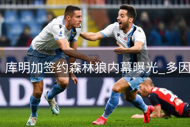库明加签约森林狼内幕曝光 多因素决定最终去向