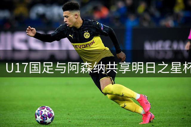 U17国足与阿森纳共享明日之星杯冠军 赵松源荣膺赛事MVP
